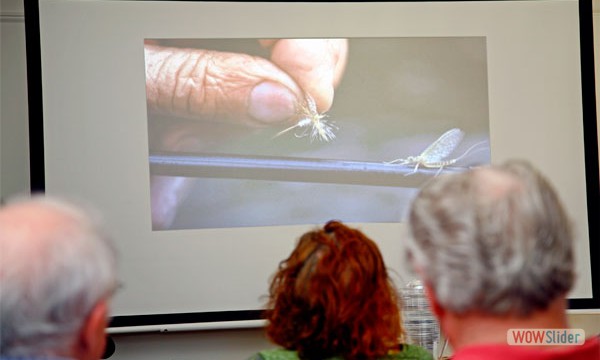 A favorite fly for the Schoharie