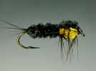 Montana Nymph