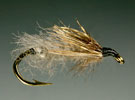 Caddis Pupa