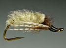 Caddis Pupa