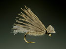 X Caddis