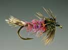 Iso Nymph