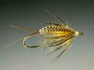 Stonefly Creeper #12, 14